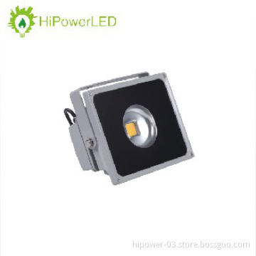High Lumen Bridgelux 10W Outdoor Led Flood Light COB